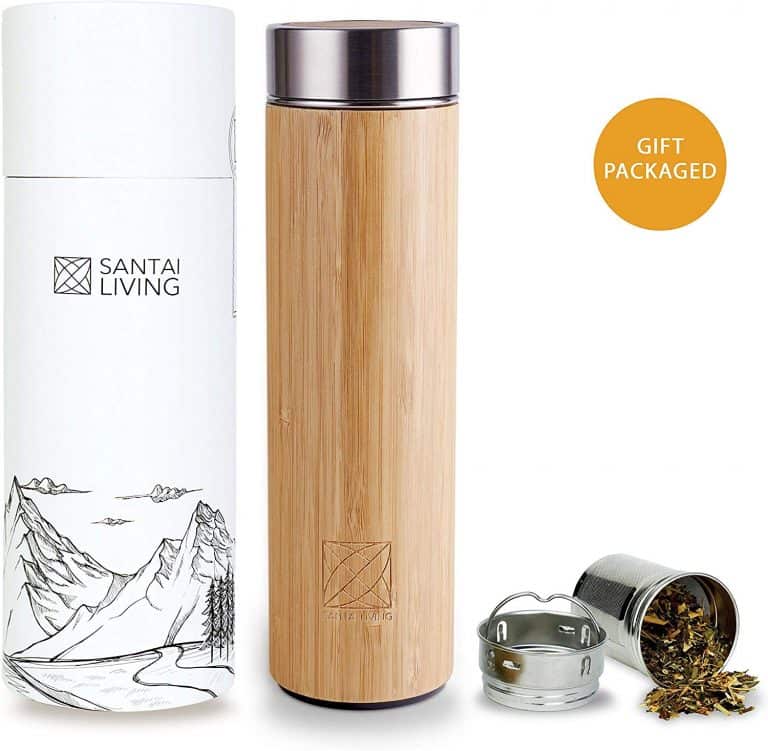 best travel tea infuser