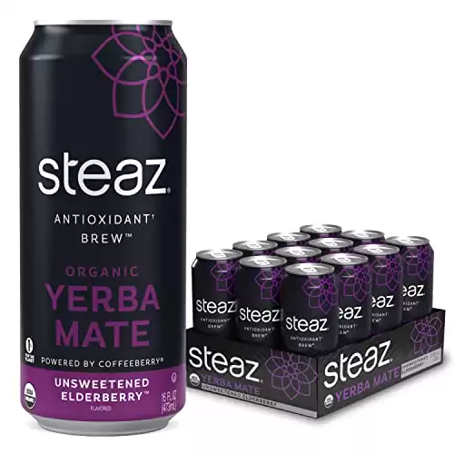 Steaz Antioxidant Brew Organic Yerba Mate Tea